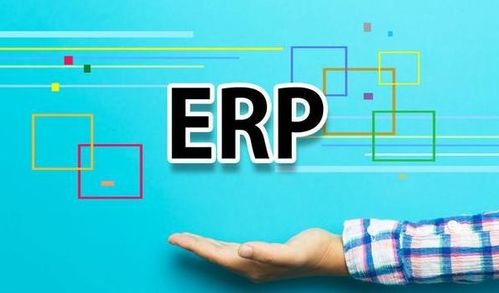 外貿出口商家ERP系統定制 深圳軟件開發的力量與優勢